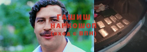 spice Краснослободск