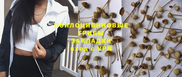 твердый Кулебаки