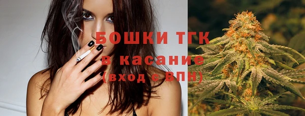 spice Краснослободск